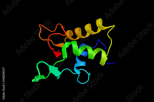 Mouse Dvl-1 DEP domain. Dishevelled (Dsh) is a family of proteins involved in canonical and non-canonical Wnt signalling pathways. 3d rendering photo