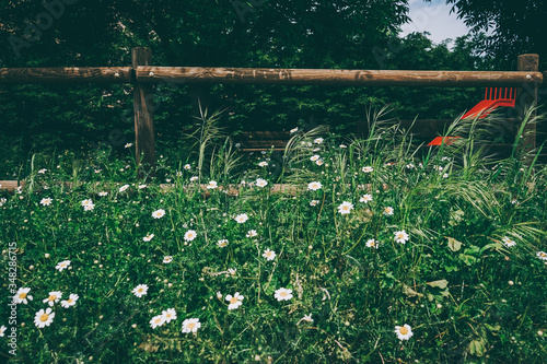 Beautiful image about rustic details of flowers and wood photo