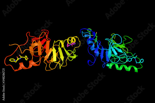 Neurophysin II, a carrier protein also known as a stimulator of prolactin secretion. 3d rendering photo