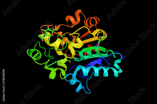 Palmitoyl protein thioesterase, enzyme that removes thioester-linked fatty acyl groups such as palmitate from modified cysteine residues in proteins or peptides during lysosomal degradation