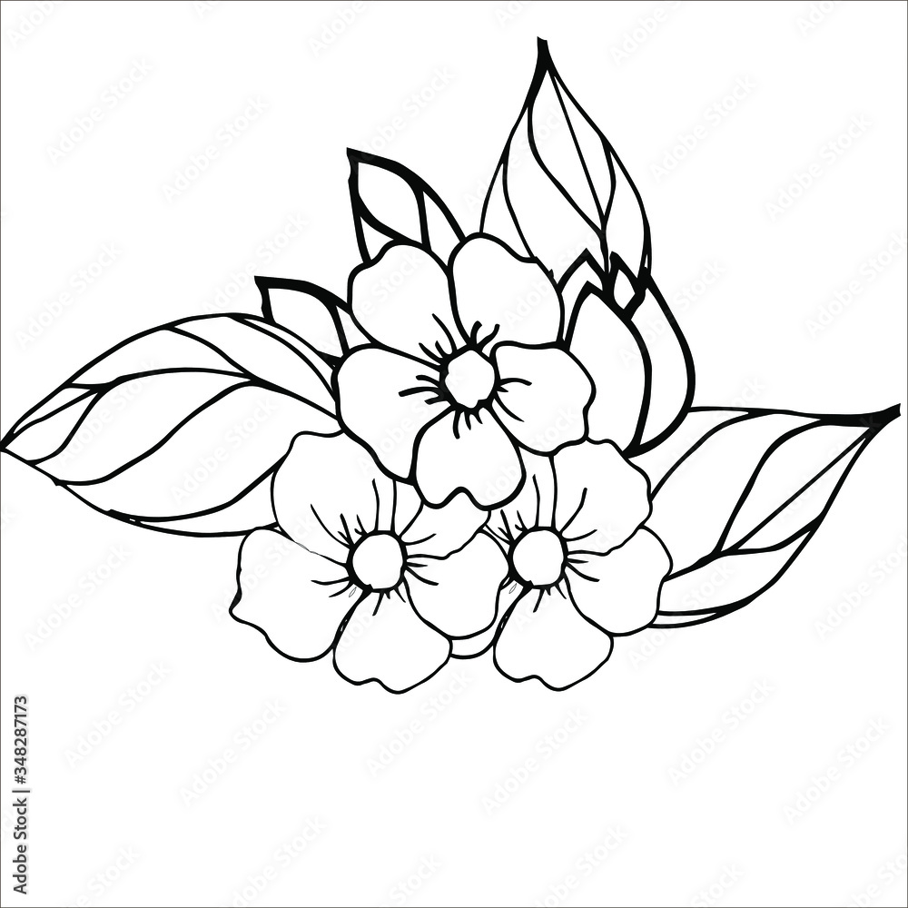 vector illustration of a flower. Coloring with flowers, buds and leaves of Apple trees. Black and white drawing of Apple flowers for coloring.