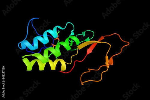 Phospholipase A2, enzyme that releases fatty acids from the second carbon group of glycerol. 3d rendering photo