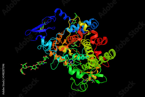 Cyclooxygenase 1, the central enzyme in the biosynthetic pathway to prostaglandins from arachidonic acid. 3d rendering photo