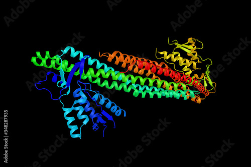 Sorting nexin-9, a protein which interacts with activated Cdc42-associated kinase-2 to regulate the degradation of epidermal growth factor receptor protein. 3d rendering