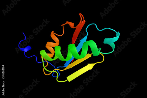 Synaptojanin 2, a protein which interacts with the C3 botulinum toxin substrate 1, which causes translocation of the encoded protein to the plasma membrane. 3d rendering photo