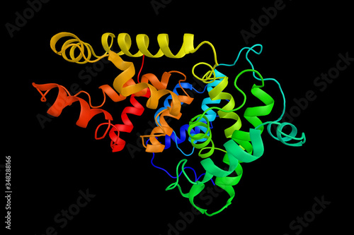 AS160, a Rab GTPase-activating protein that in humans is encoded by the TBC1D4 gene. Contains a calmodulin-binding domain which mediates phosphorylation-independent glucose uptake in muscle cells photo