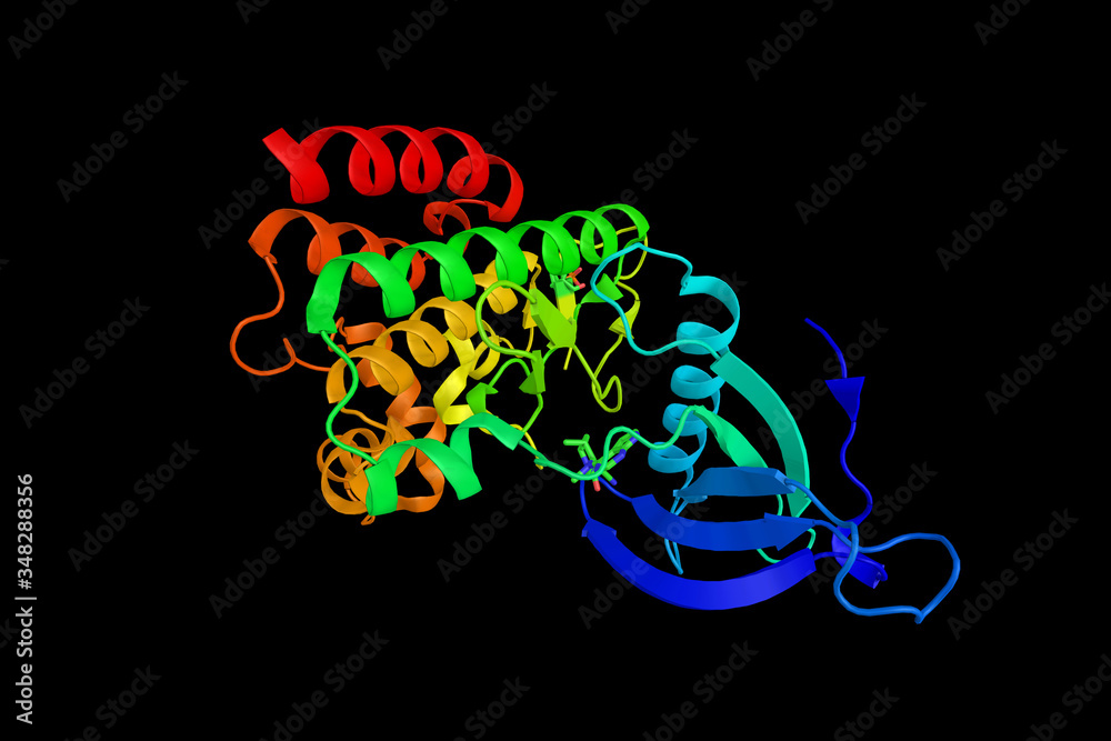 Non-receptor tyrosine-protein kinase TYK2, a protein which promulgates cytokine signals by phosphorylating receptor subunits. May play a role in anti-viral immunity. 3d rendering Non-receptor tyrosine-protein kinase TYK2, a protein which promulgates cytokine signals by phosphorylating receptor subunits. May play a role in anti-viral immunity. 3d rendering