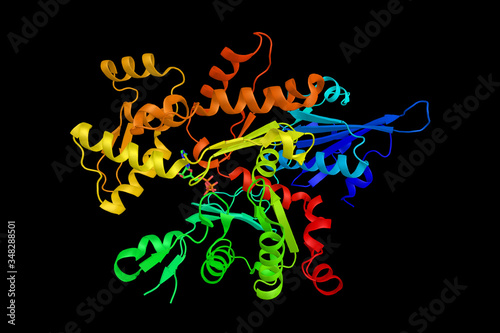 Fototapeta Naklejka Na Ścianę i Meble -  Neural Wiskott-Aldrich syndrome protein, involved in transduction of signals from receptors on the cell surface to the actin cytoskeleton. 3d rendering