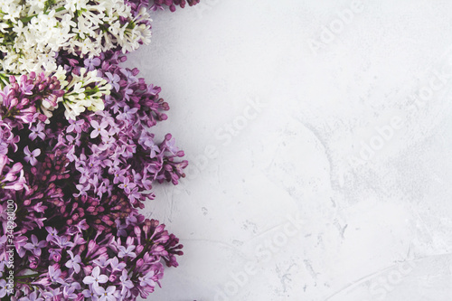 Lilac flowers on a light gray background. A border of lilac flowers.