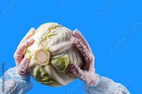 Women's gloved hands hold cabbage. Order your products and deliver them safe and sound during the quarantine.