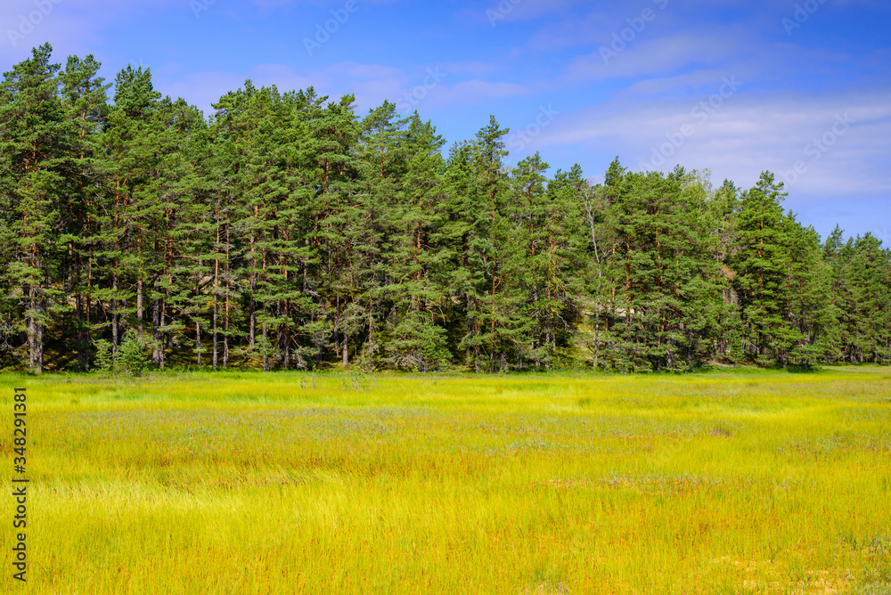Typical Estonian nature in Lahemaa national Park. Educational trail of Majakivi – Picanime, a popular natural attraction in Estonia, a tourist ecological trail.