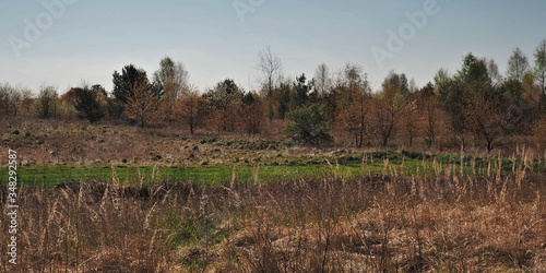 Fototapeta Naklejka Na Ścianę i Meble -  Spring landscape, meadow fields and trees.
