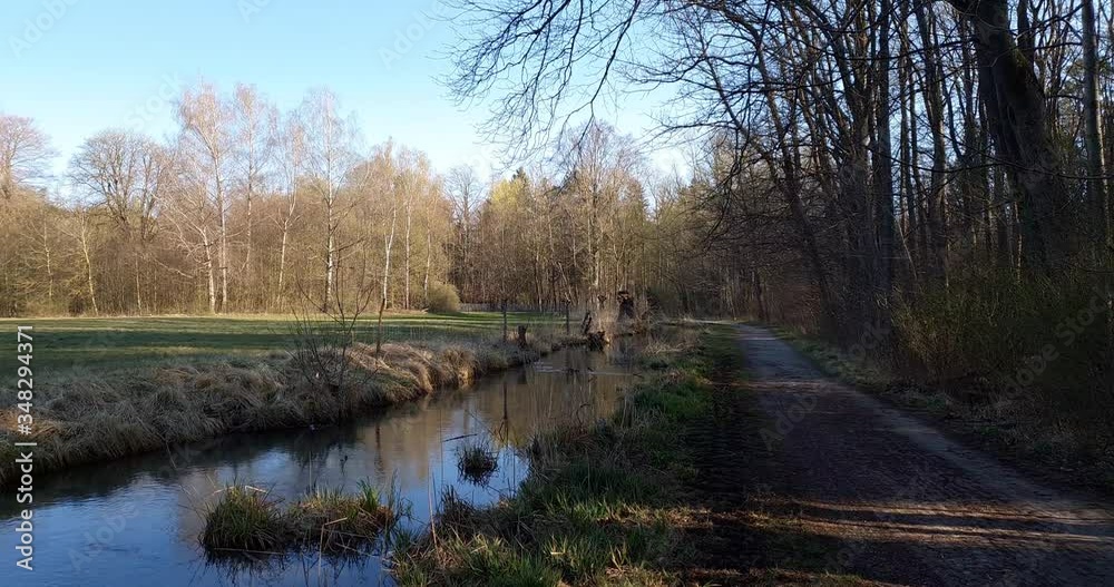 Flight in spring over a forest path along the Brunnenbach stream near Augsburg with bird calls Flight in spring over a forest path along the Brunnenbach stream near Augsburg with bird calls