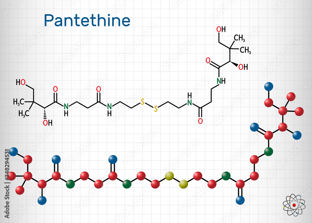 Pantethine, сo-enzyme pantethine, bis-pantethine molecule. It is dimeric form of pantetheine, supplement for lowering blood cholesterol. Skeletal chemical formula, molecule model. Vector illustration