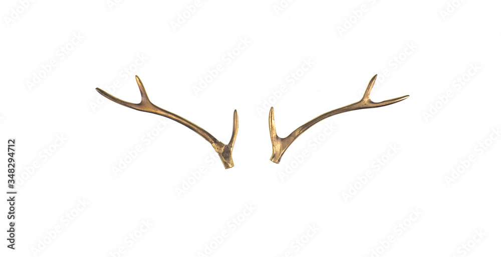golden deer horns isolated on white background golden deer horns isolated on white background