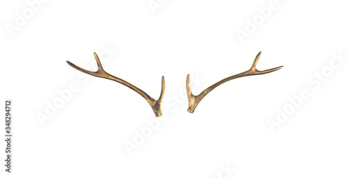 golden deer horns isolated on white background