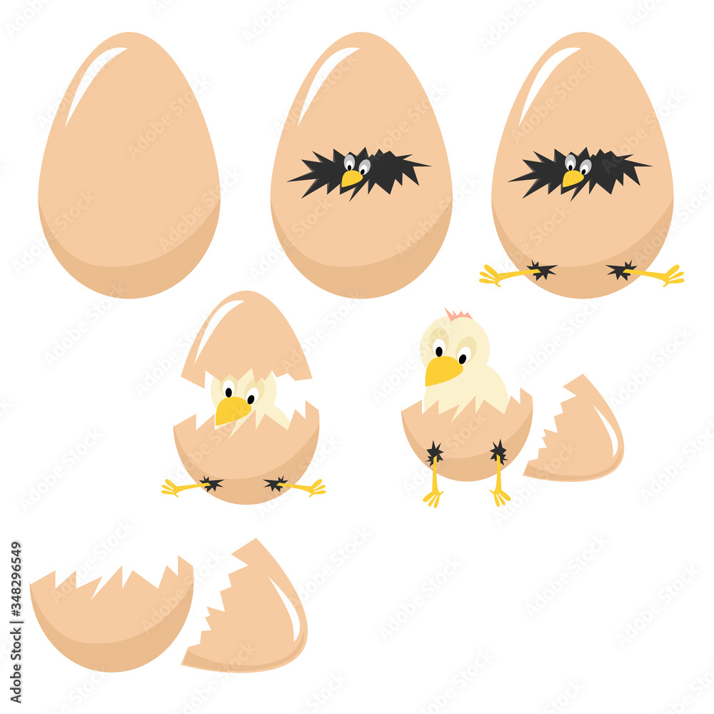 Vector illustration of Little chicken in egg broken damaged shell