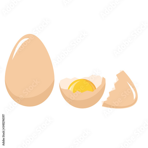 Cracked Eggshell and yolk set, different forms. Vector painting art