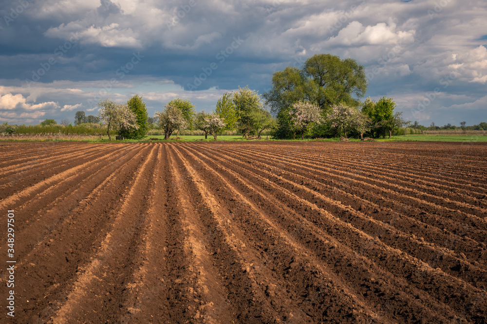 Plowed field at sunny spring day in Czersk, Poland