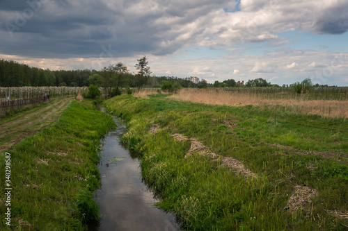 Obraz na płótnie Cedron river in Czersk, Poland w salonie