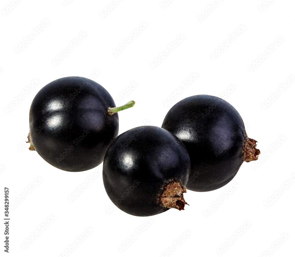 Black currants isolated on white background with clipping path Black currants isolated on white background with clipping path