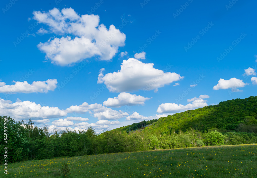 summer landscape with blue sky