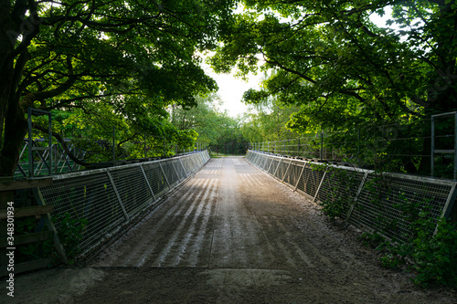 Bridge in the woods © Steven Clough