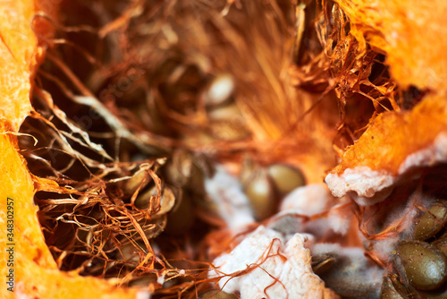 Rotten cut pumpkin. Decomposition of products.