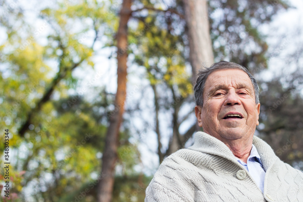 Portrait of a smiling senior man in Nature Portrait of a smiling senior man in Nature