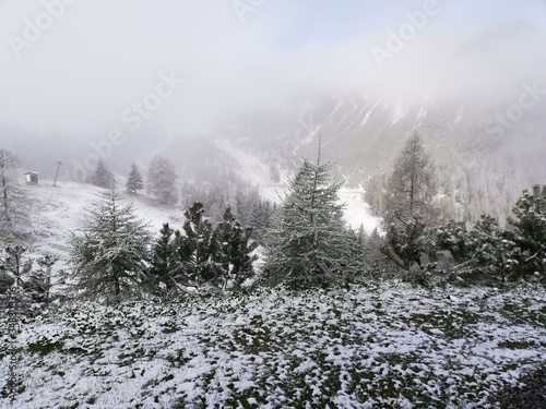 fog in the mountains