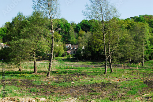 prairie en vallée de Chevreuse