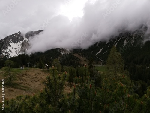 fog in the mountains
