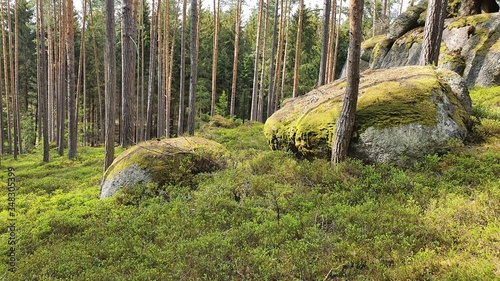 Stein wald Stone Wackelsteine Findlinge Ruhe 