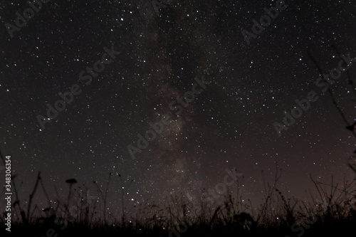 Milky way beyond grass