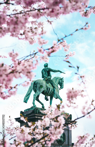 Gustav II Adolfs statue in Stockholm with cherry flowers photo