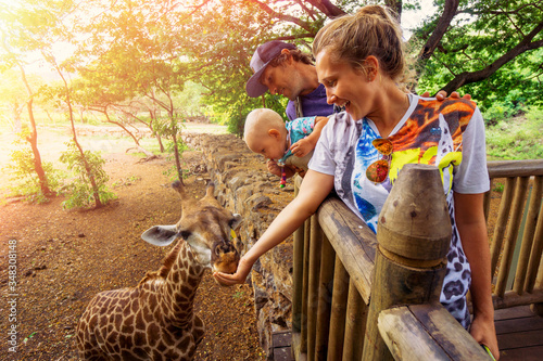 Father, mother and baby girl feeding a giraffe photo