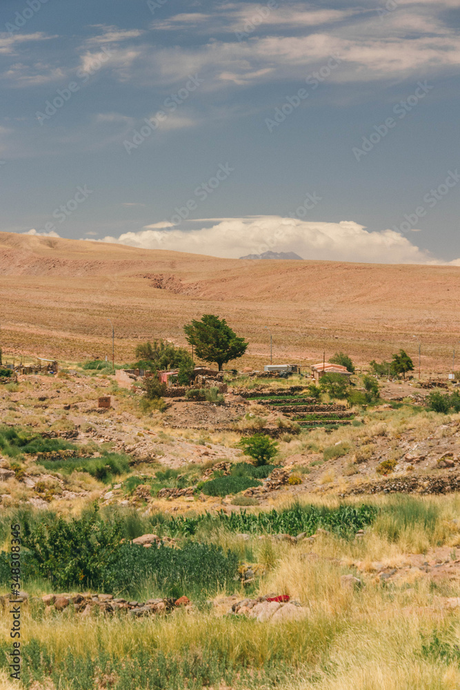 Obraz premium landscape with a tree