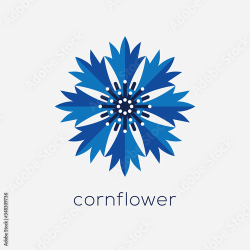Stylized cornflower logo. photo
