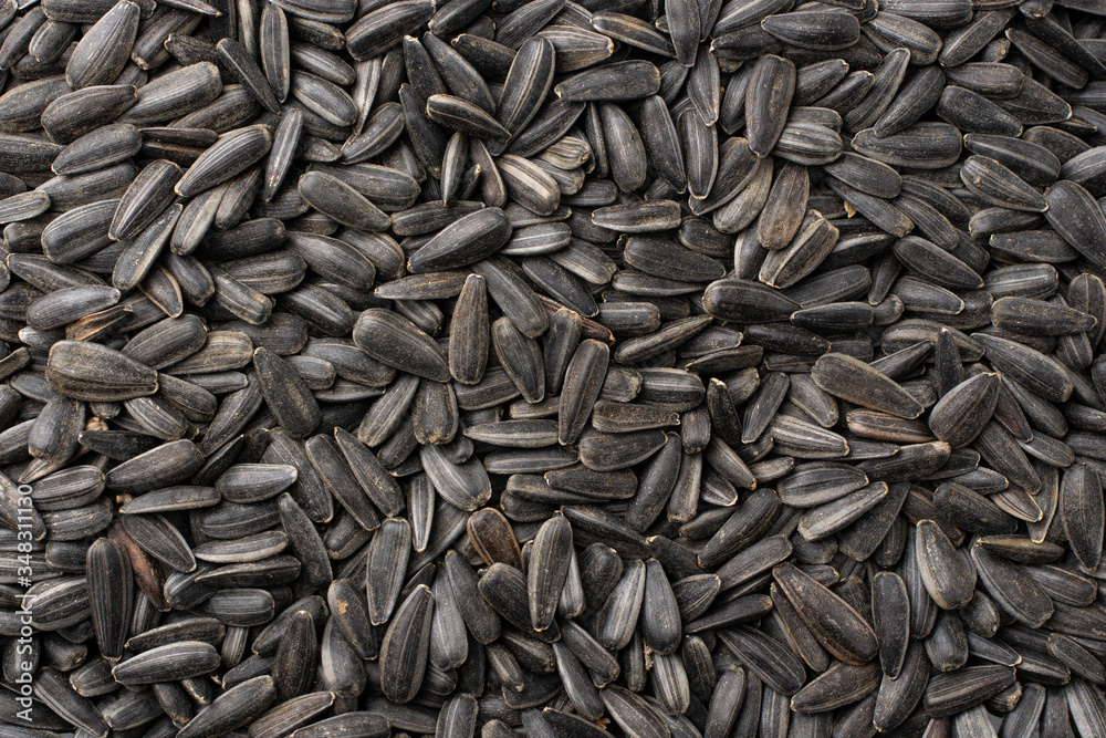 Dry sunflower seeds. Close-up. View from above. Dry sunflower seeds. Close-up. View from above.