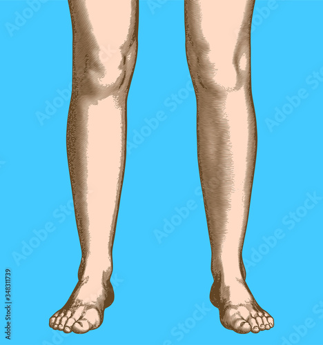 Retro engraving human leg and foot vector illustration