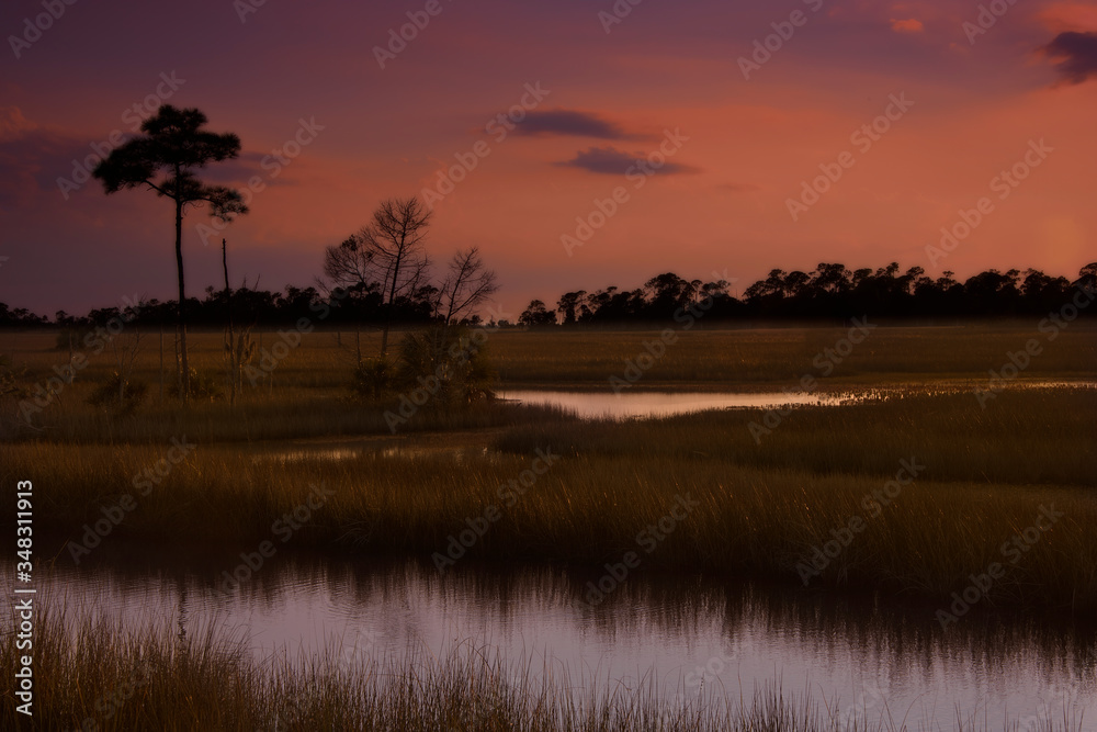 Sun setting over Marsh land in Northern Florida