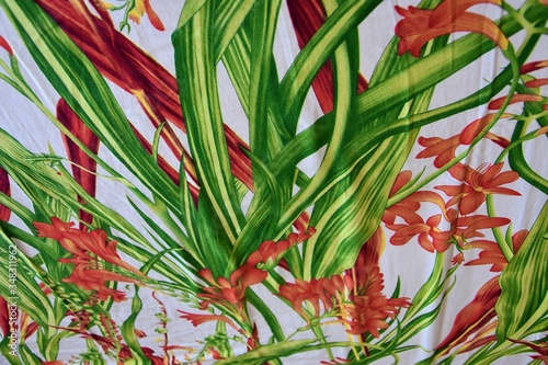 floral designer, white bedsheet with leaves and flowers.