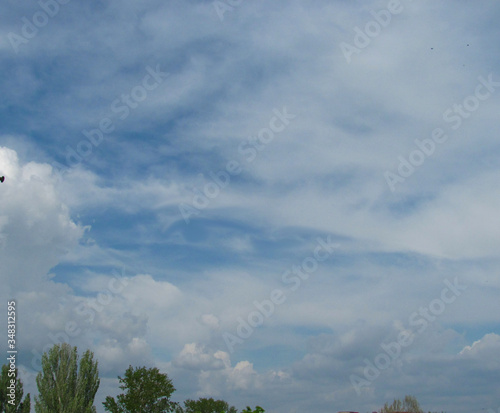 clouds over the trees