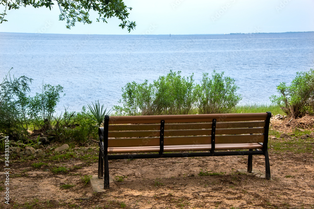 Empty Bench on the Shoreline of St. Marks River
