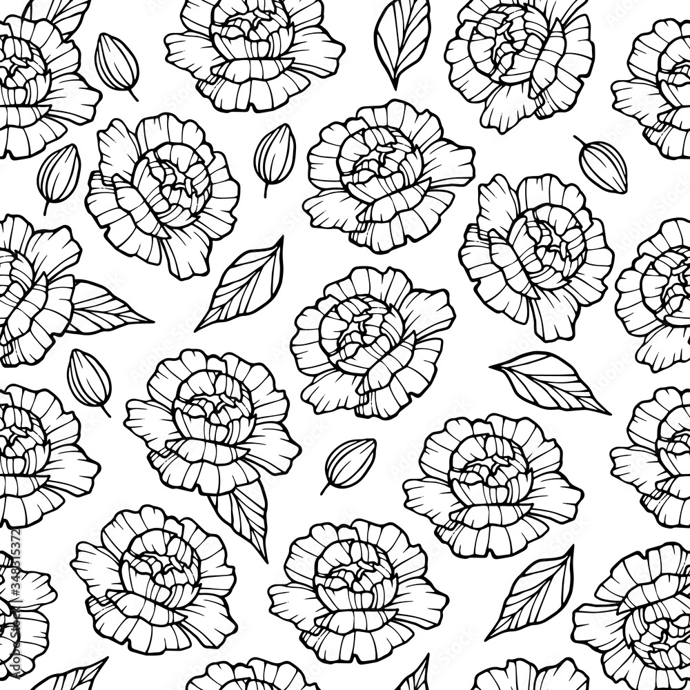 Garden peony flower pattern. Outline illustration of garden peony flower vector pattern for web design Garden peony flower pattern. Outline illustration of garden peony flower vector pattern for web design