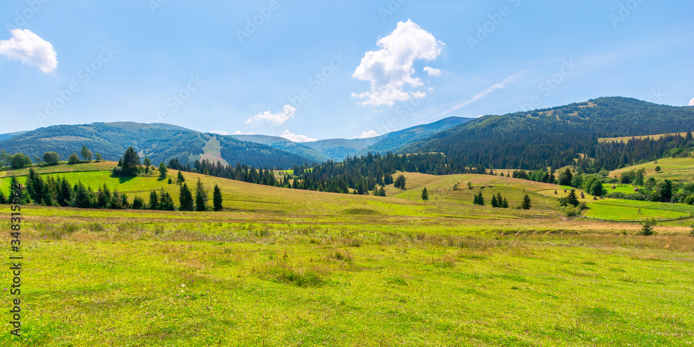 mountainous countryside at high noon. beautiful rural scenery with trees and fields on the rolling hills at the foot of the ridge. nature and sustainability development concept