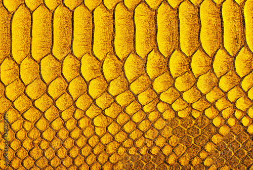 Obraz na plátně Yellow python skin background