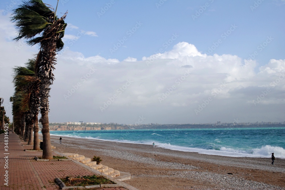 Palms und Mediterranean sea, Turkey