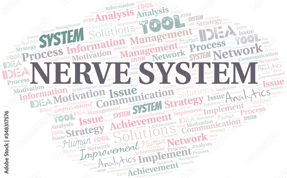 Nerve System typography vector word cloud. Nerve System typography vector word cloud.
