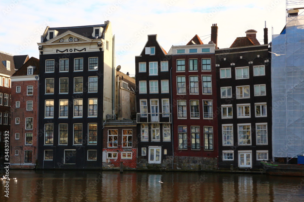 Fototapeta premium old houses in amsterdam